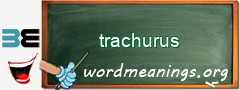 WordMeaning blackboard for trachurus